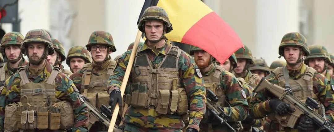 Belgian Camouflage (Jigsaw)